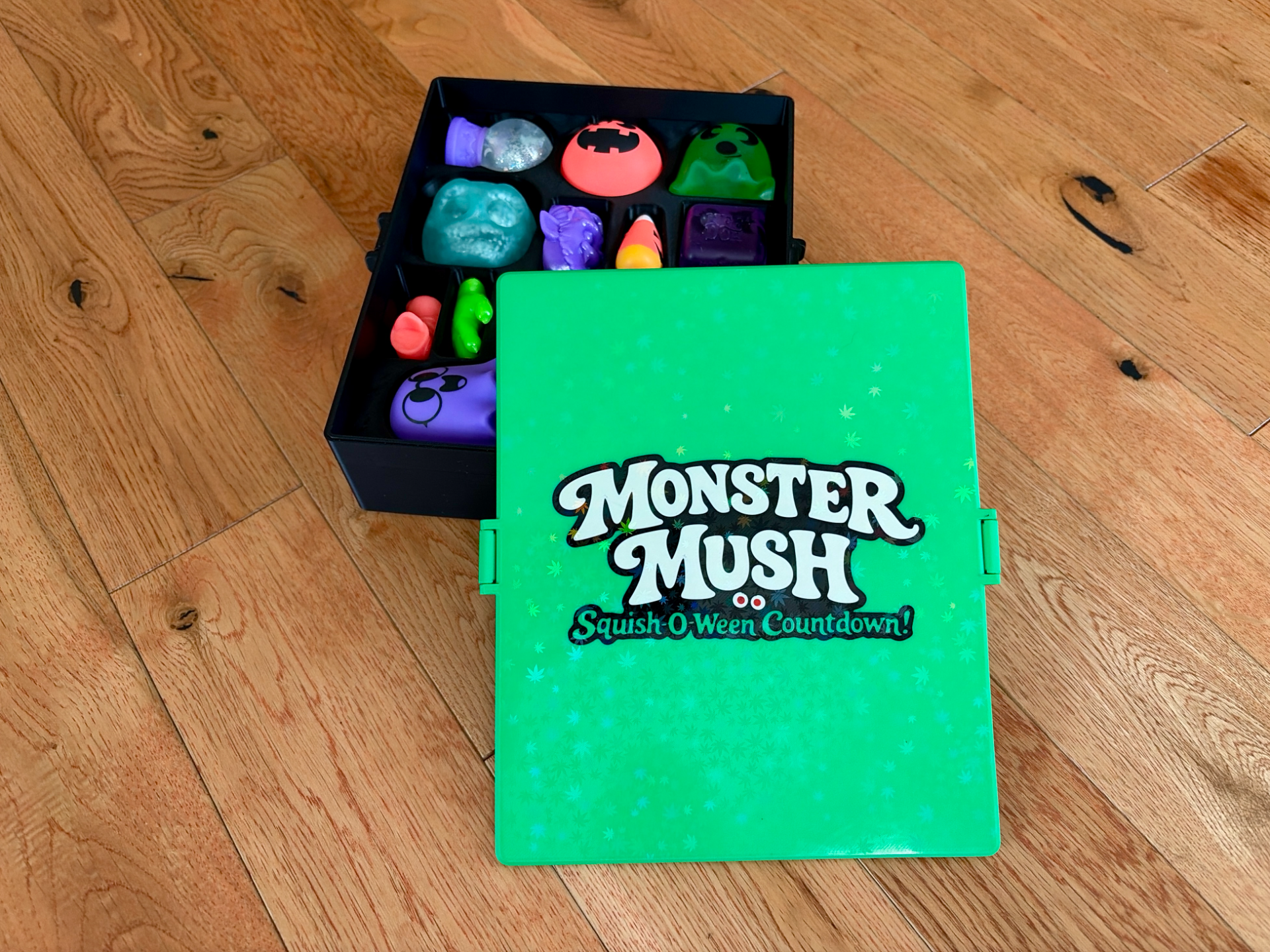 NeeDoh Monster Mush Calendar Case - 1