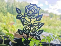 Rose pour la fête des Mères — photo 5