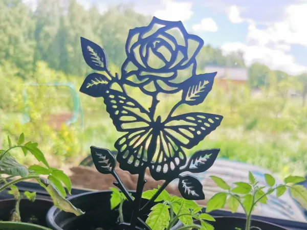 Rose pour la fête des Mères