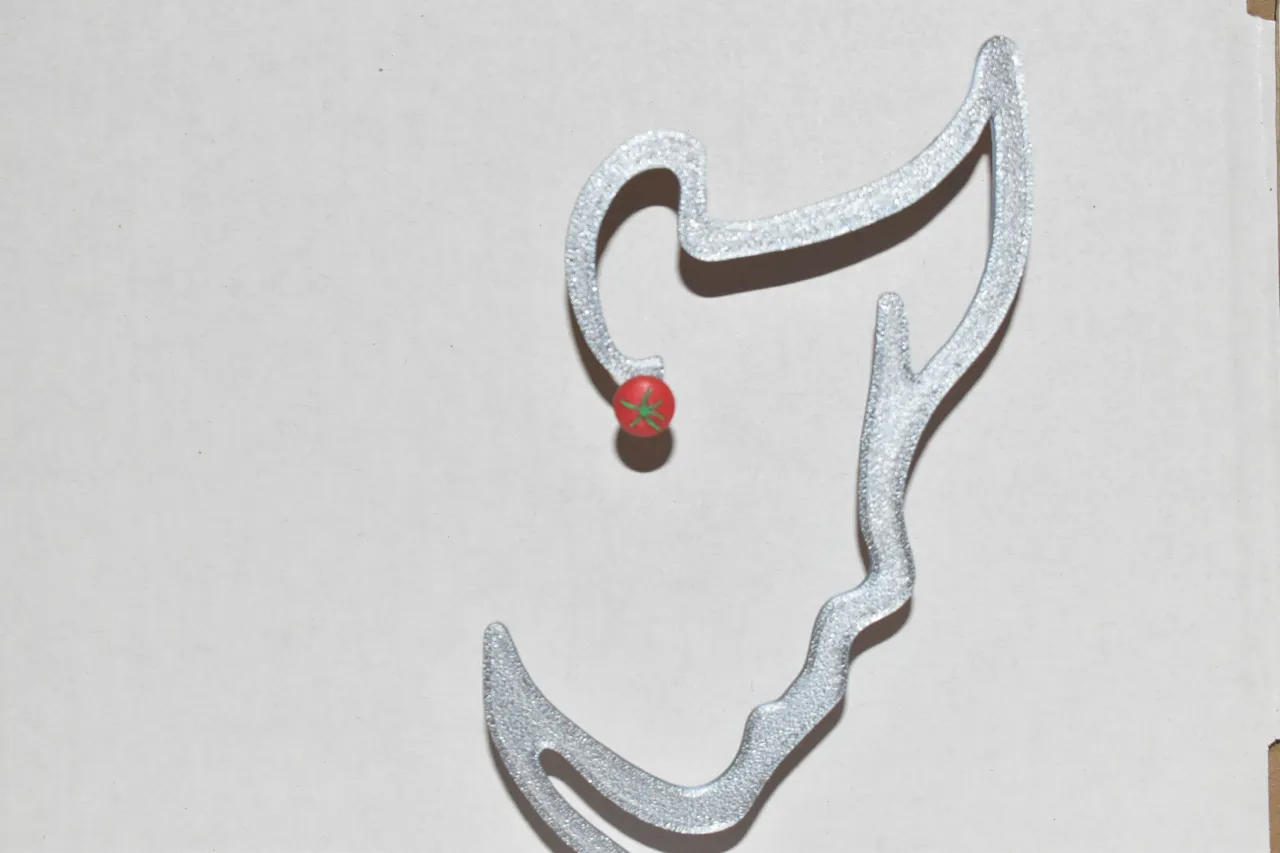 Tomato Earrings view 2