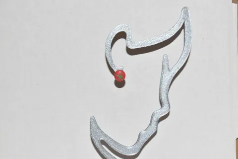 Tomato Earrings view 2