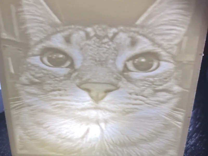 Meme Cat Lithopane