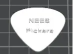 NEES Pickers guitar 