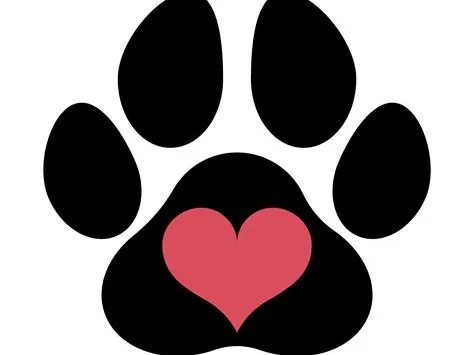 Paw Keychain 
