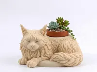 Mainecoon pot 5cm 15%infill