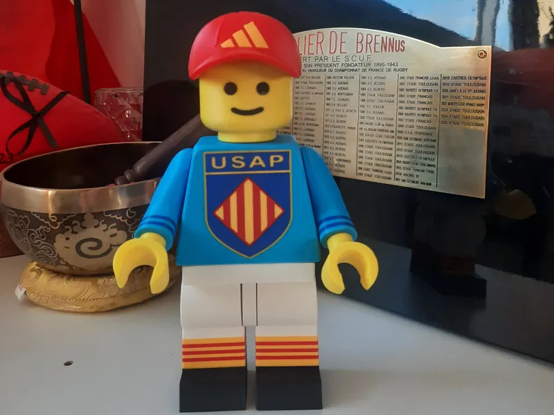 Grand Homme Brique USAP Perpignan extérieur 500%