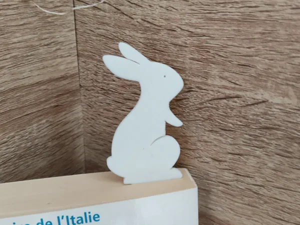Marque-pages lapin (3 modèles)