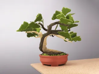 Bonsai Pencil Holder
