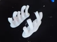 0.2mm 层高, 2 层墙, 10% 填充