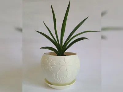 Plant Pot With Drain Tray "Sunflower"