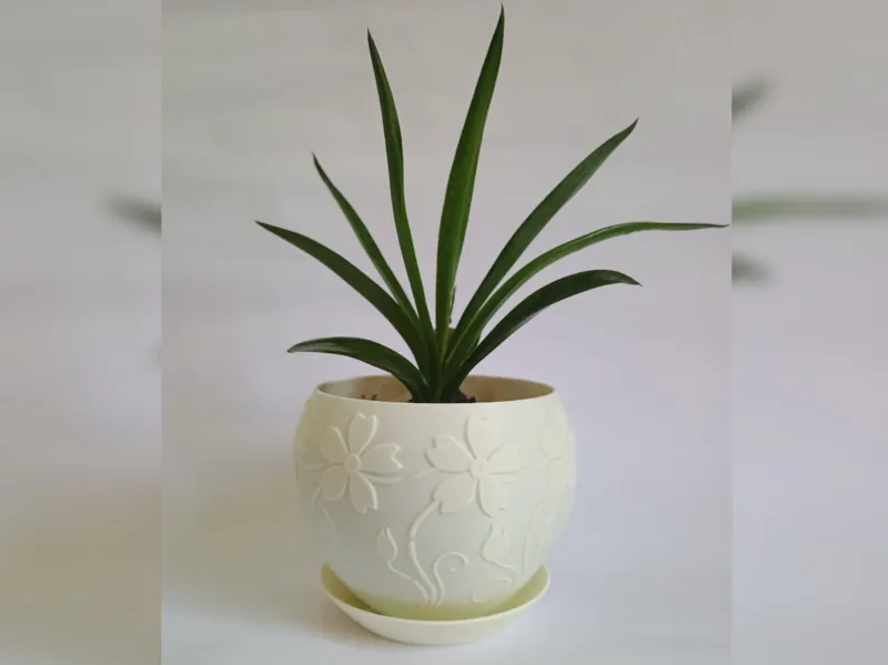 Plant Pot With Drain Tray "Sunflower"