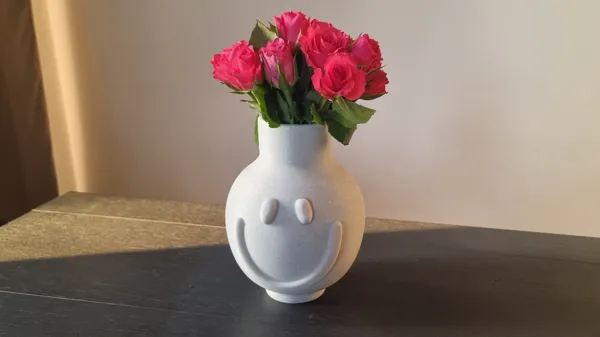 https://makerworld.bblmw.com/makerworld/model/UScfb8d6f63ffe3b/design/2024-03-14_334f20f9c973e.jpg