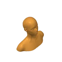 Buste d'homme chauve stylisé — photo 2