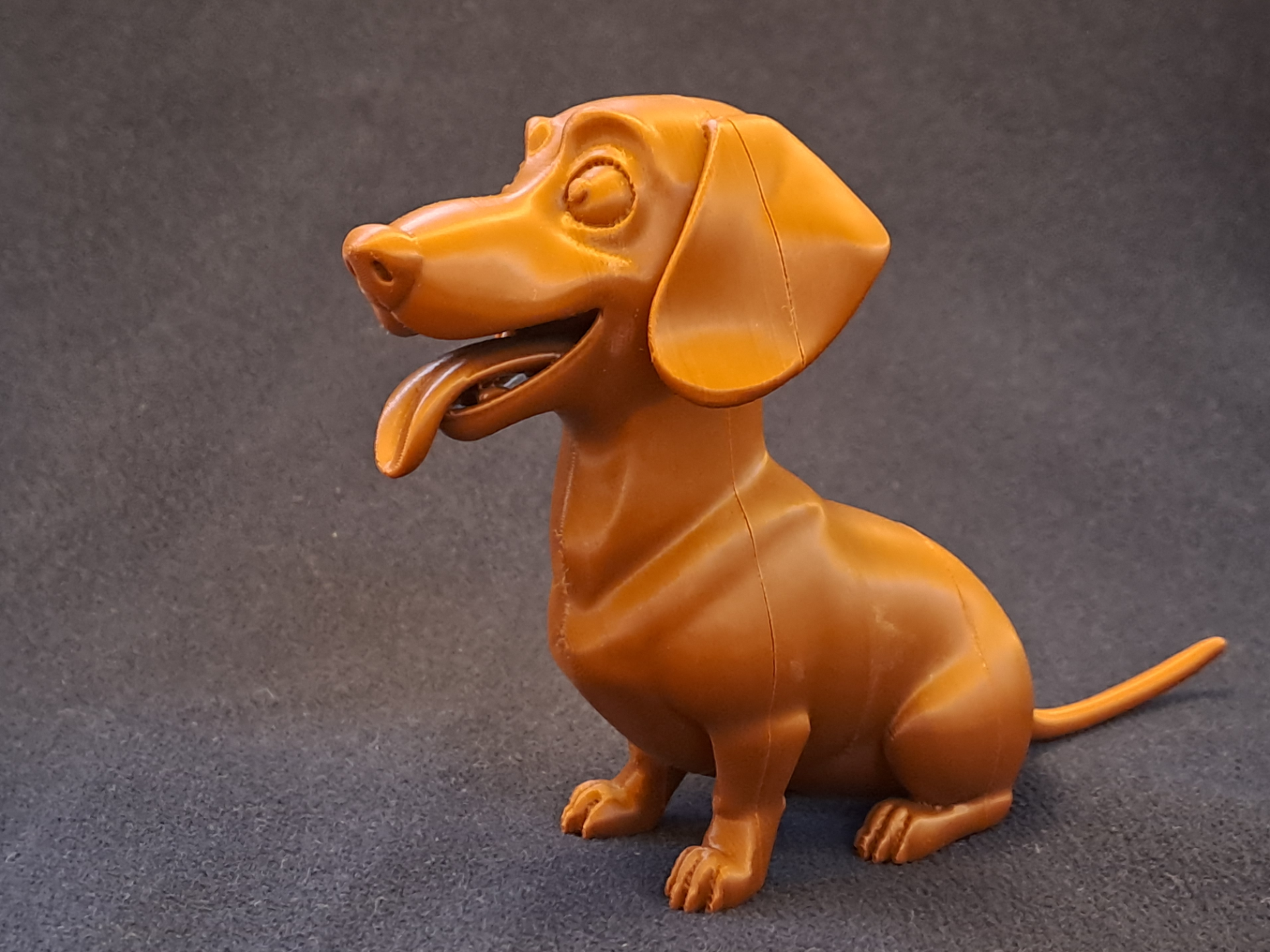 Cute Dachshund