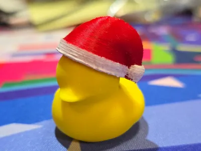 Christmas Hat for Duck