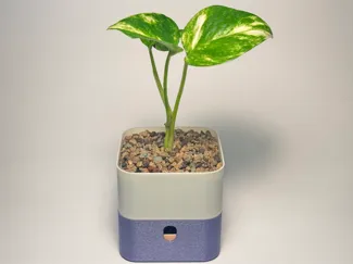 Simple square self watering pot