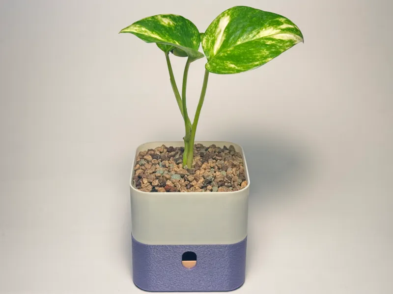 Simple square self watering pot