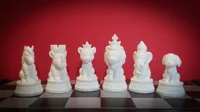 0.16mm layer, 5 walls, 13% infill