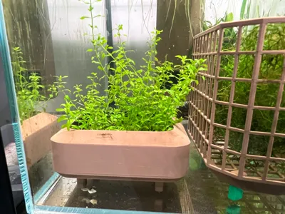 Internal Aquarium Planter Pot