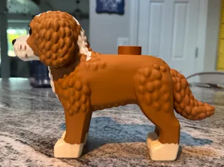 Brick Miniature Goldendoodle (AMS - 3 color)