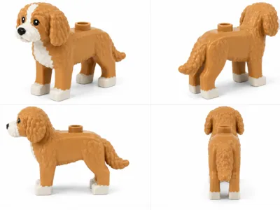 Brick Miniature Goldendoodle (AMS - 3 color)