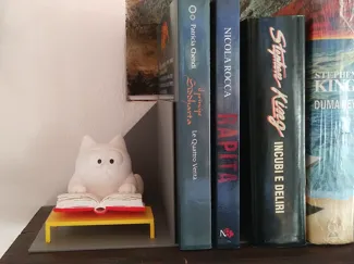 Book Nook , Fermalibri gatto con libro