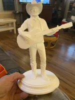 Buste Willie Nelson — photo 3