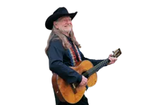 Buste Willie Nelson — photo 2