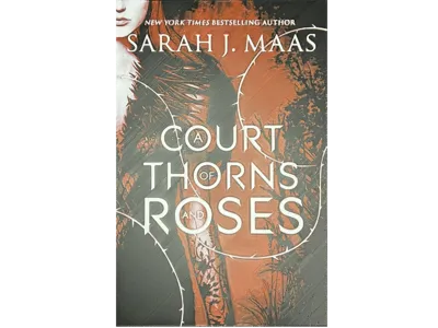 Book Cover Art - A Court of Thorns and Roses