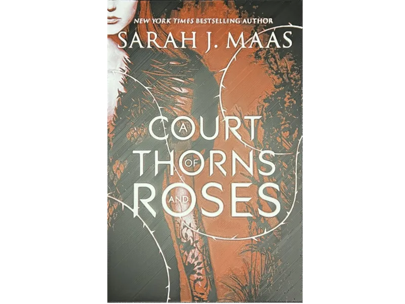 Book Cover Art - A Court of Thorns and Roses