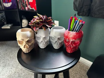 Skull planter/organizer