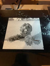 0.08mm layer, 2 walls, 100% infill