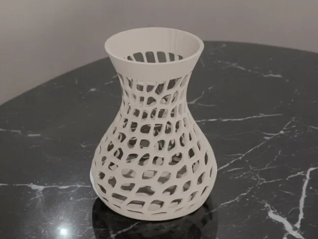 Voronoi dry flower vase