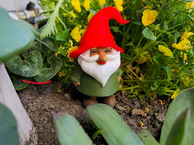 Little garden Gnome!
