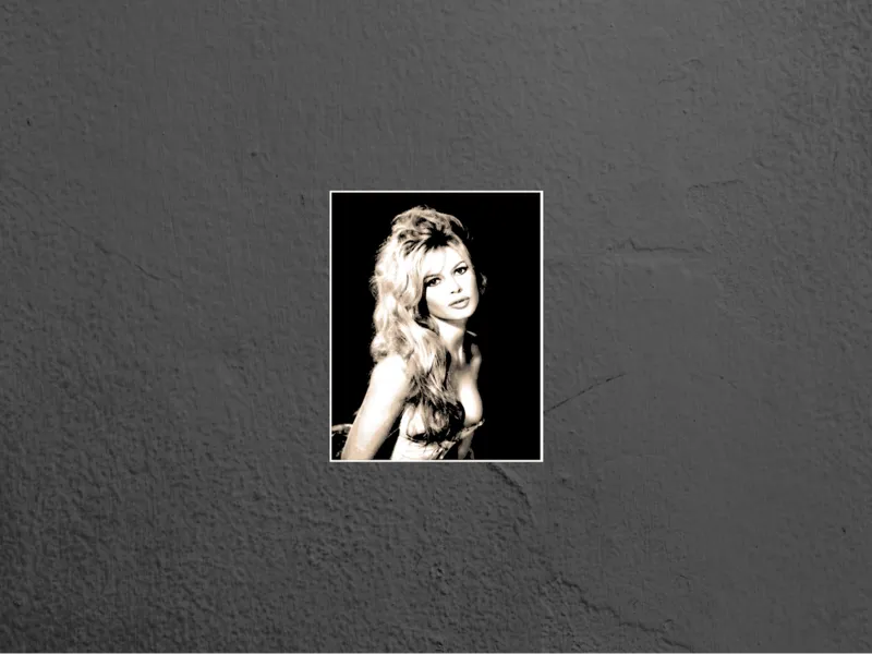 HueForge Cadre Brigitte Bardot