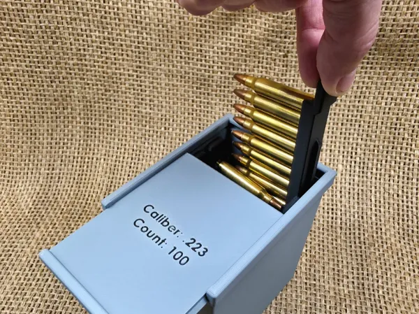 https://makerworld.bblmw.com/makerworld/model/UScfef20573cc525/design/2026-01-09_e324fd42819318.jpg