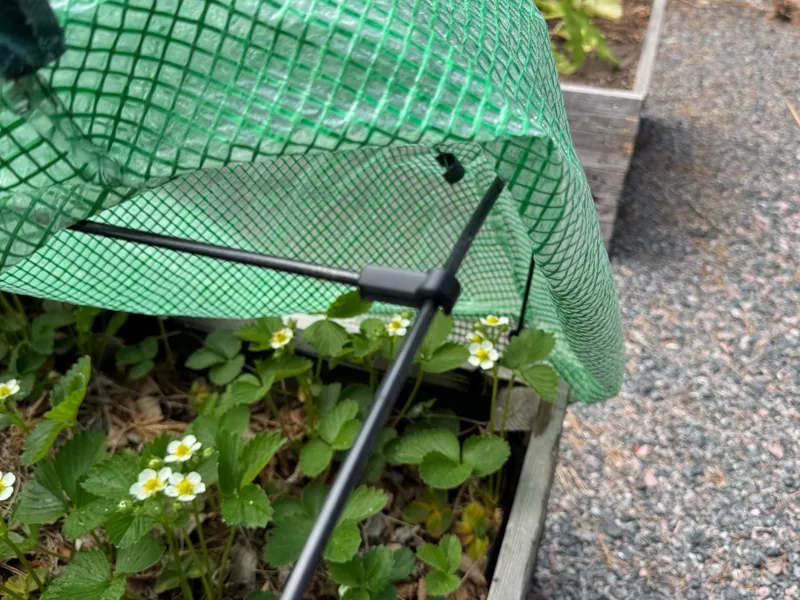 Plant Cover Pin Holder