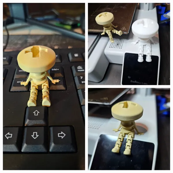https://makerworld.bblmw.com/makerworld/model/UScff2bc845309c0/design/2025-01-10_e18999f8e1b5d.jpg