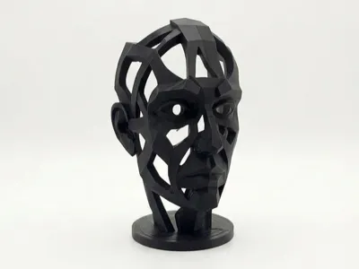 Futuristic Face
