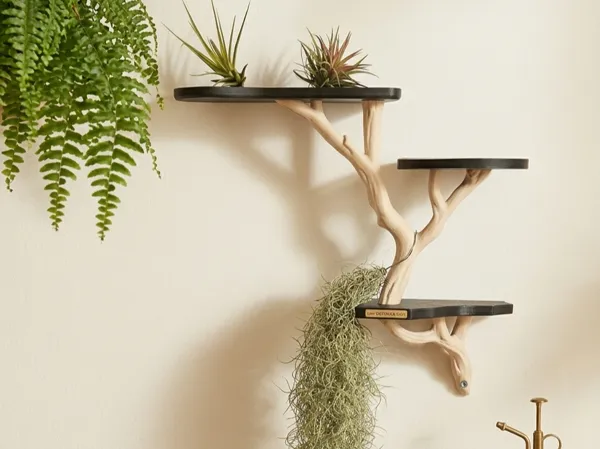 https://makerworld.bblmw.com/makerworld/model/UScffb17e3658d64/design/01cd18015468cae1.png