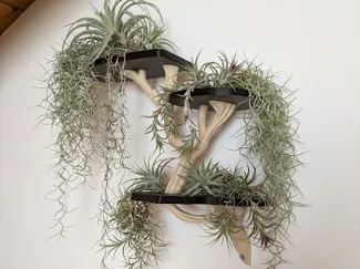Mensola albero