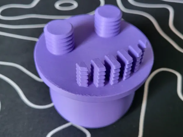 https://makerworld.bblmw.com/makerworld/model/USd00c790c549625/design/2024-11-15_1becc94269529.jpg