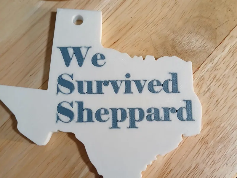 We Survived Sheppart (Air Force Base - Texas)