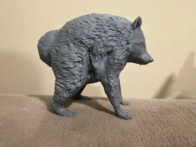 JIMOTHY