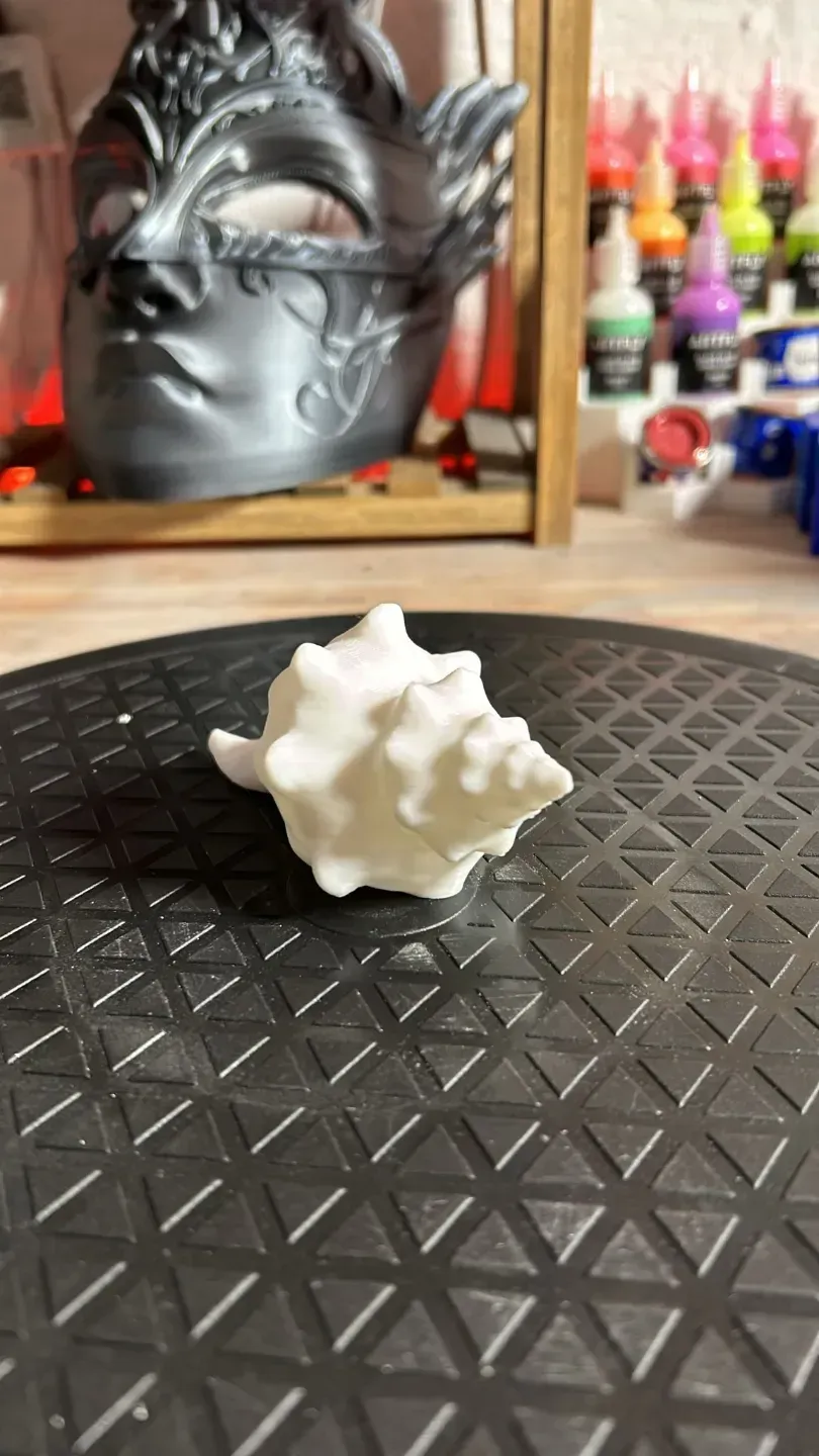 Small shell by Talvor MakerWorld: Download Free 3D Models