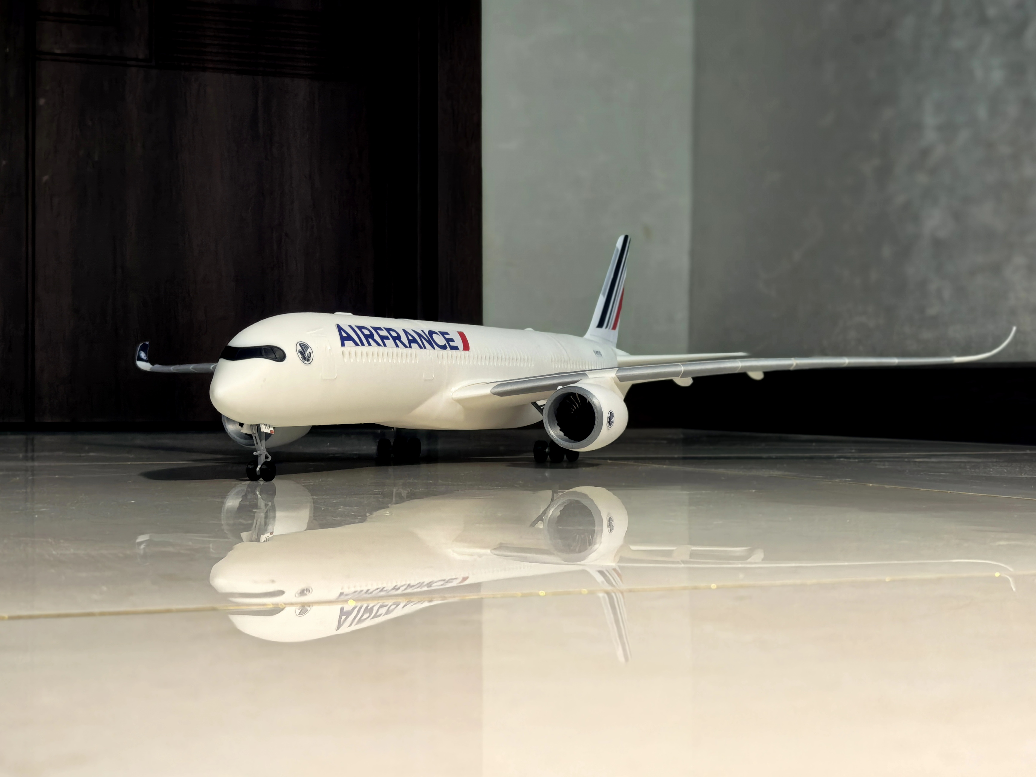3Dプリント エアバス AIRBUS A350モデル—標準版 1:100/120/144スケール