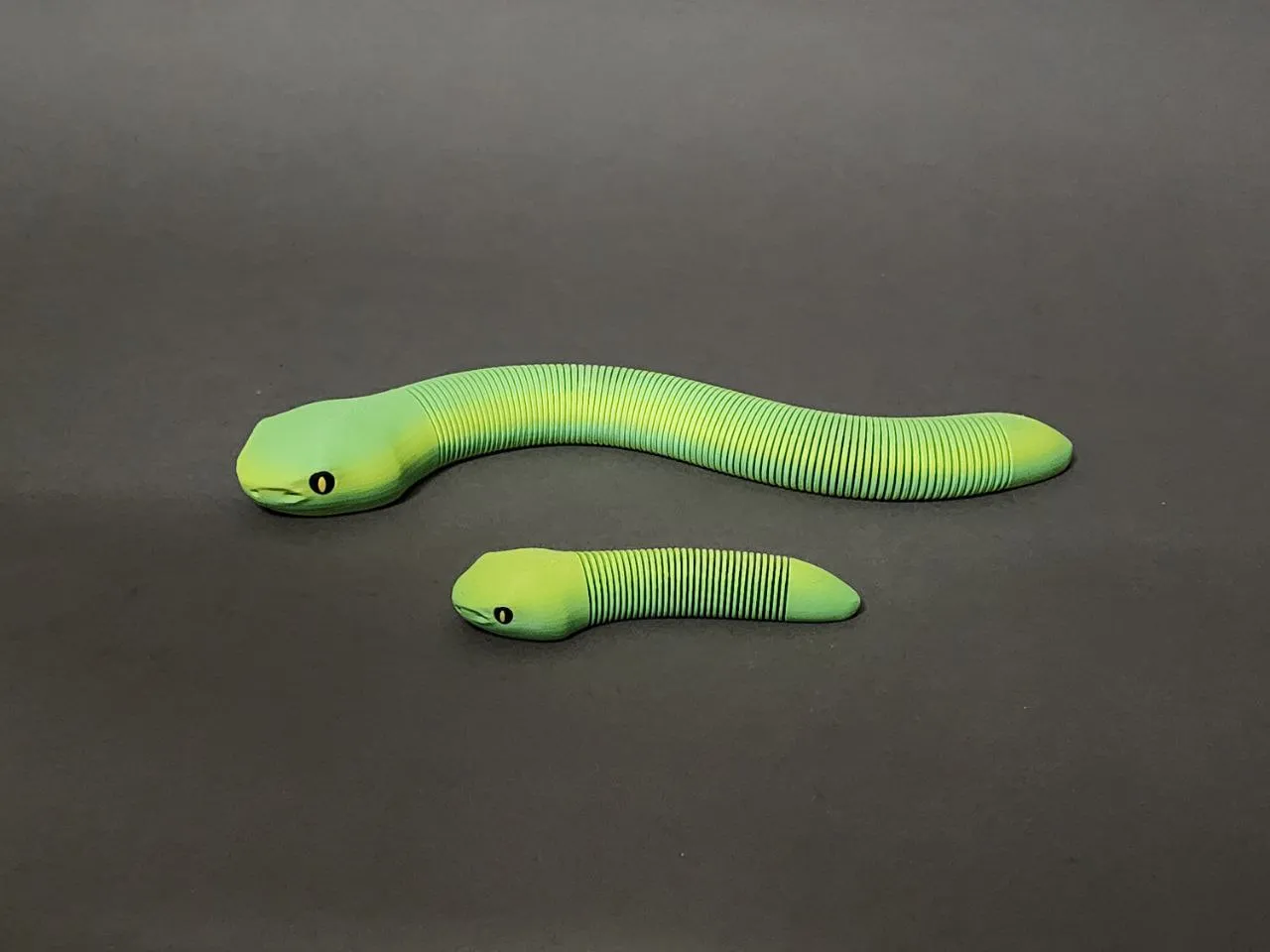 Slinky Snake [No AMS required] view 4