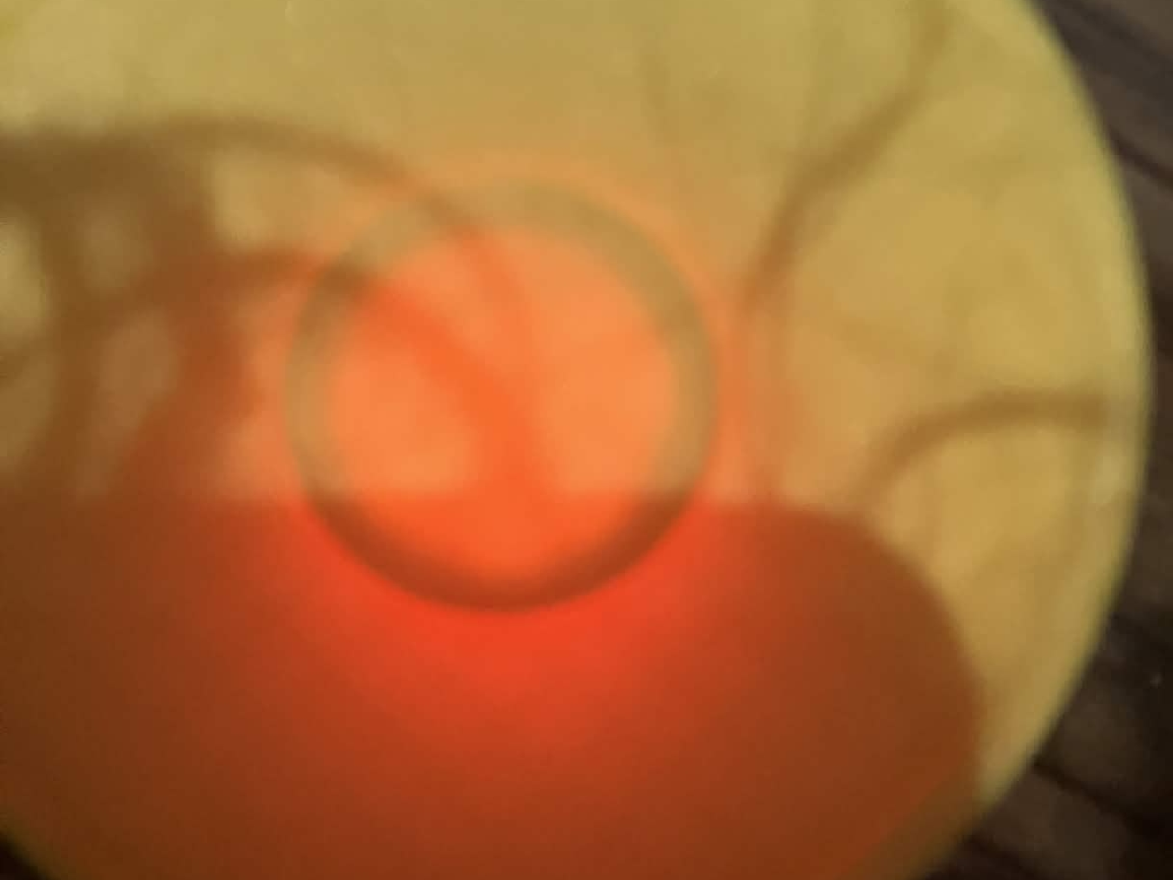 Pokémon Go Plus+ Sleep Case (PROTOTYPE)