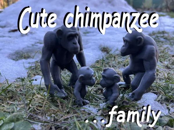 Famille de chimpanzés