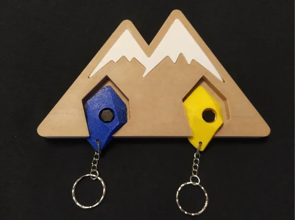 https://makerworld.bblmw.com/makerworld/model/USd020115c737029/design/2025-01-12_cc47ba7f525578.jpg